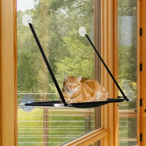 Strap-Suspended Window Hammock – Crazy Cat Ladies