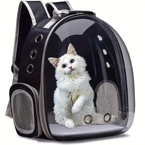 Clear Bubble Cat Carrier Backpack – Crazy Cat Ladies