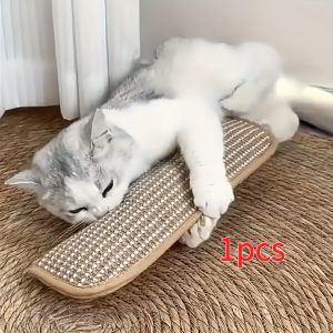 Sisal Scratch Pillow Toy – Crazy Cat Ladies