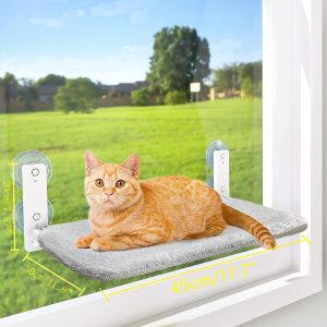Foldable Suction-Cup Window Perch – Crazy Cat Ladies