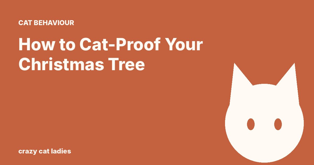 How to Cat-Proof Your Christmas Tree – Crazy Cat Ladies