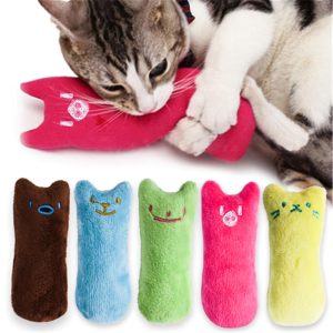 Squeaky Plush Cat Pillow Toy – Crazy Cat Ladies