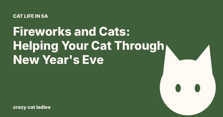 Fireworks and Cats: Helping Your Cat Through New Year's Eve – Crazy Cat Ladies