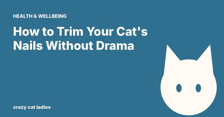 How to Trim Your Cat's Nails Without Drama – Crazy Cat Ladies