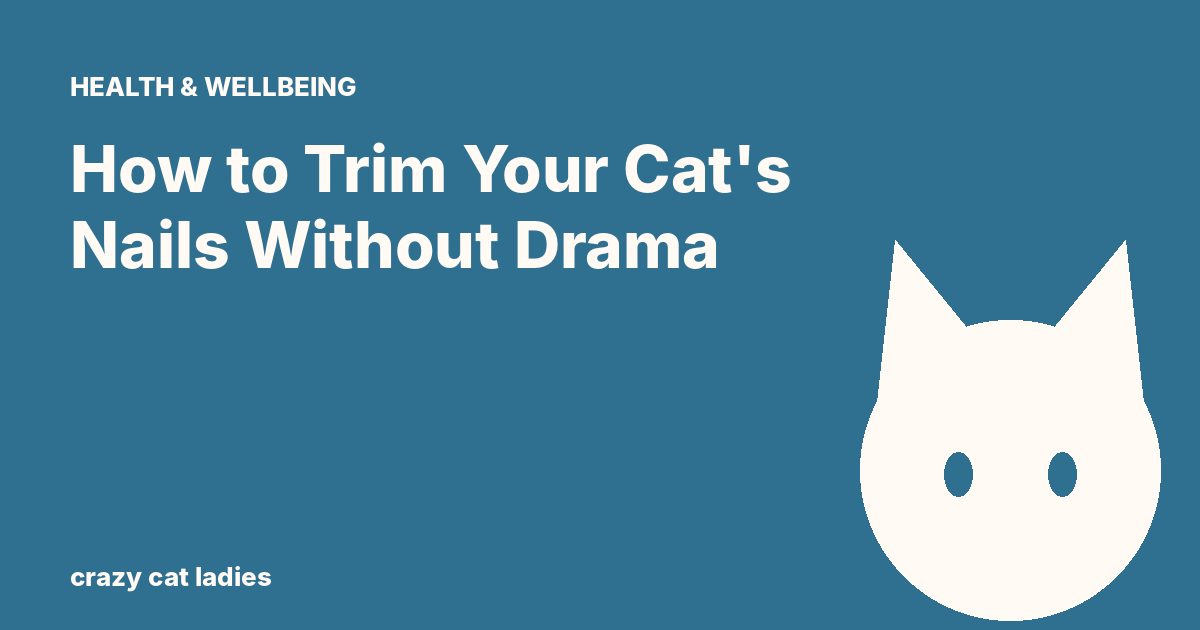 How to Trim Your Cat's Nails Without Drama – Crazy Cat Ladies