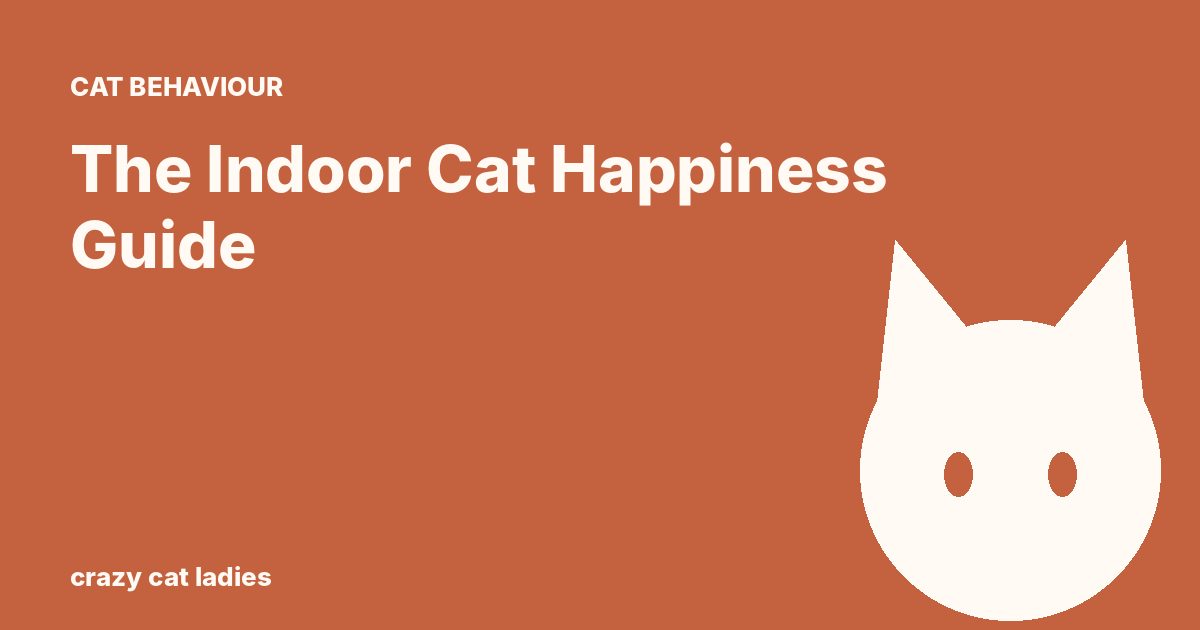The Indoor Cat Happiness Guide – Crazy Cat Ladies