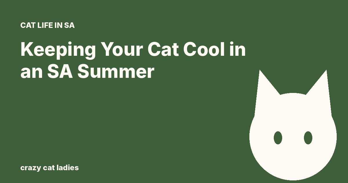 Keeping Your Cat Cool in an SA Summer – Crazy Cat Ladies
