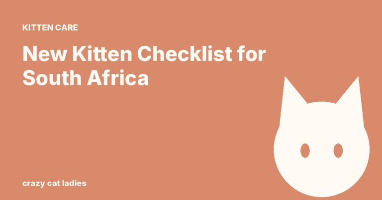 New Kitten Checklist for South Africa – Crazy Cat Ladies