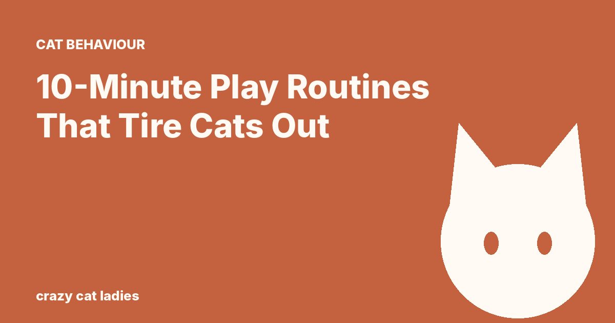 10-Minute Play Routines That Tire Cats Out – Crazy Cat Ladies