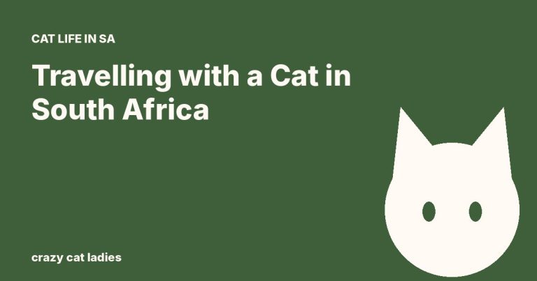 Travelling with a Cat in South Africa – Crazy Cat Ladies