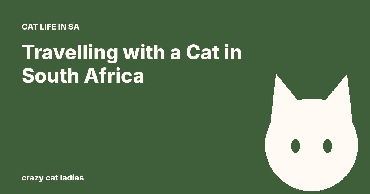 Travelling with a Cat in South Africa – Crazy Cat Ladies