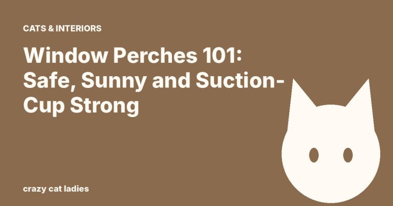 Window Perches 101: Safe, Sunny and Suction-Cup Strong – Crazy Cat Ladies