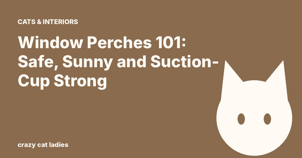 Window Perches 101: Safe, Sunny and Suction-Cup Strong – Crazy Cat Ladies